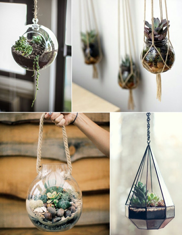 originales bolas colgantes con plantas