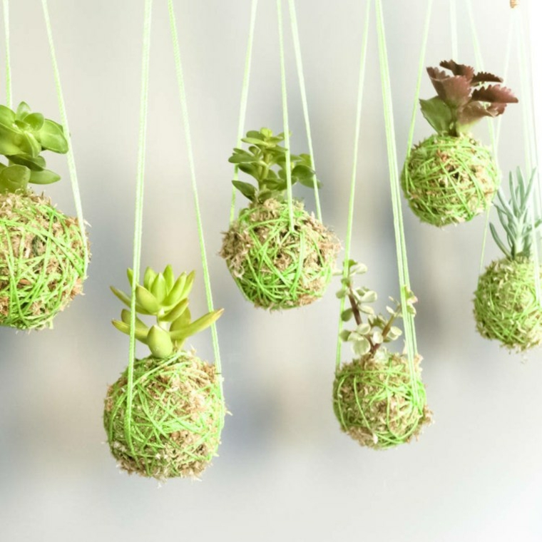 ideas decorativas con plantas suculentas