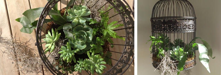 jaula vintage con plantas