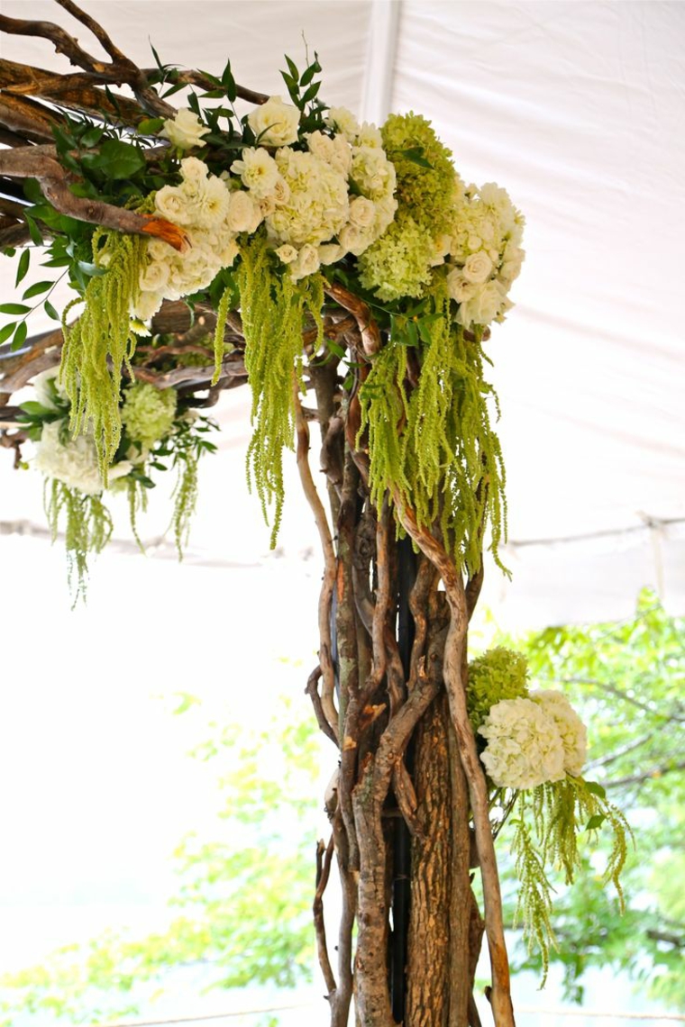 ramas con plantas