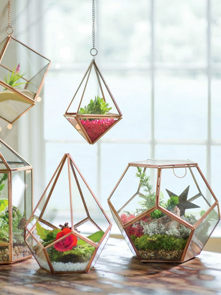 terrarios colgantes con plantas