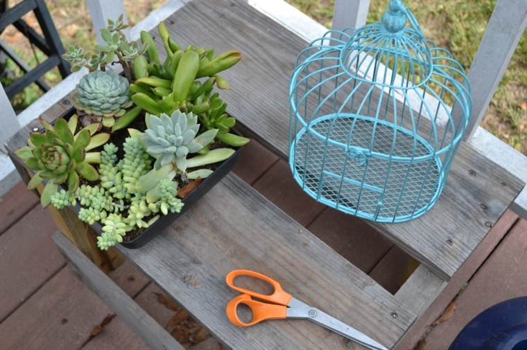 jaulas de pájaros decoradas con suculentas