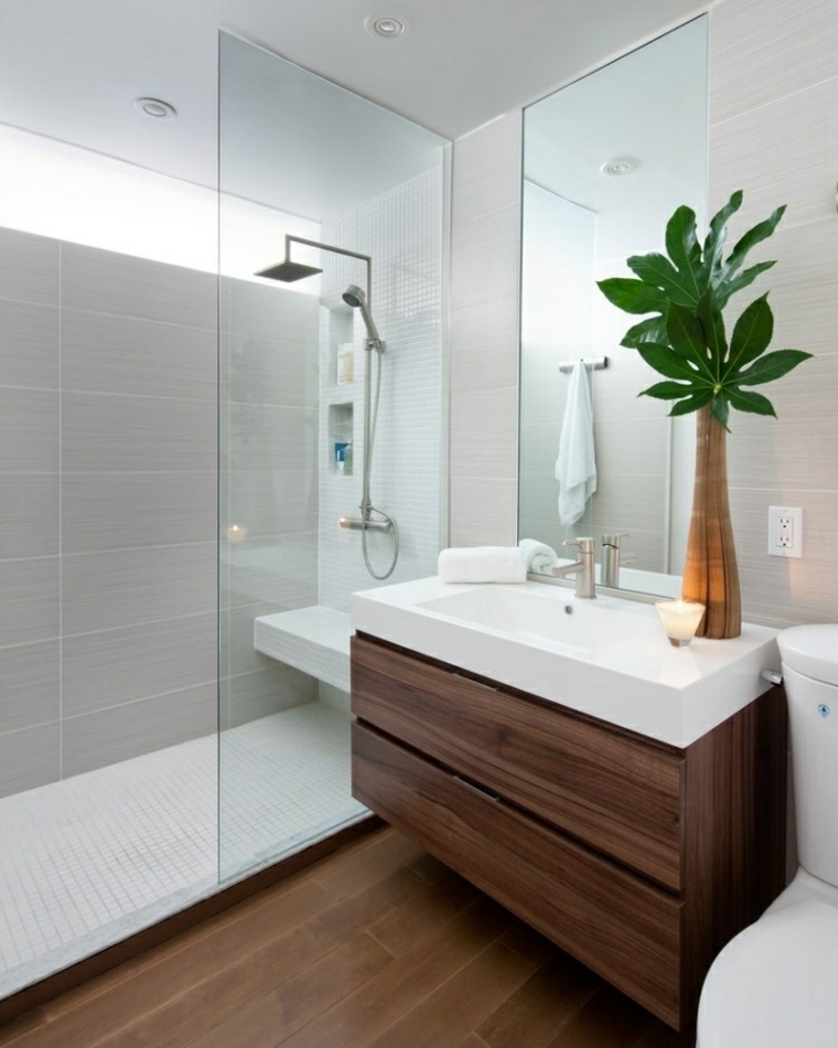 plantas contrastantes bellas muebles bano