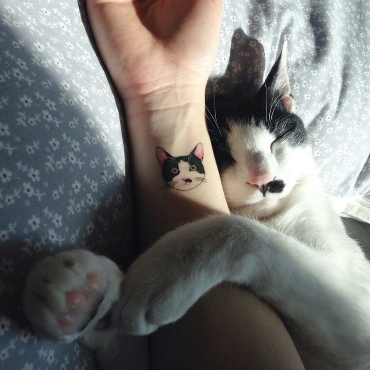 tattoos gatos