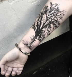 Tatuajes brazo, unos diseños interesantes de flora y fauna