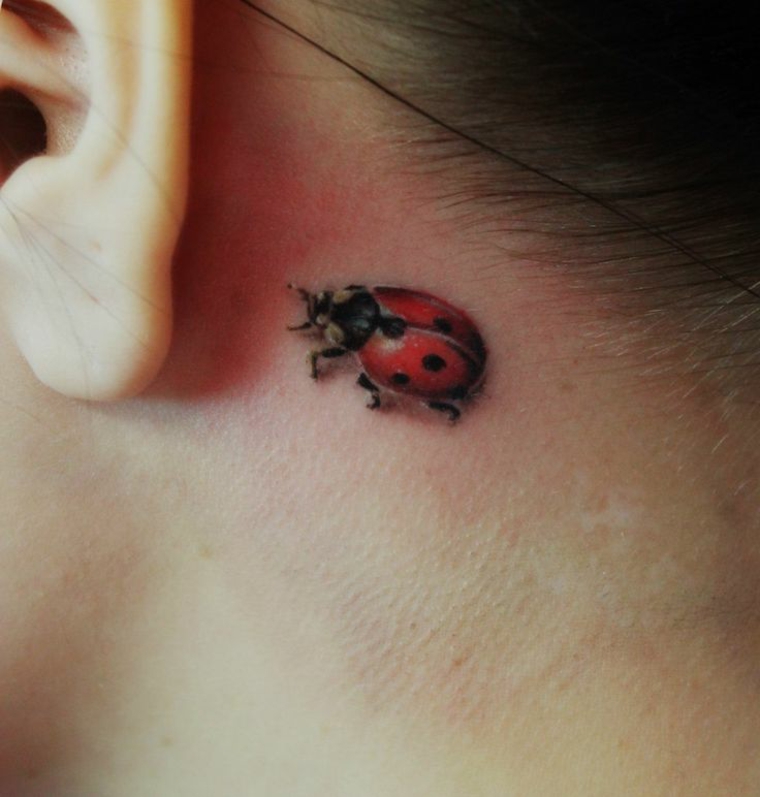 mariquita tras la oreja