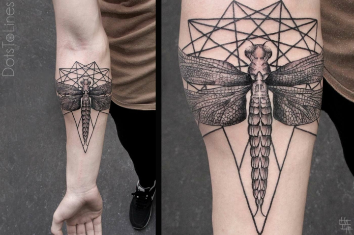 combinacion lineas geometricas animales