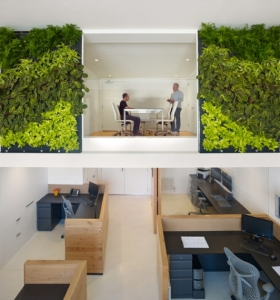 Jardines verticales de interior - decorar oficinas con naturaleza
