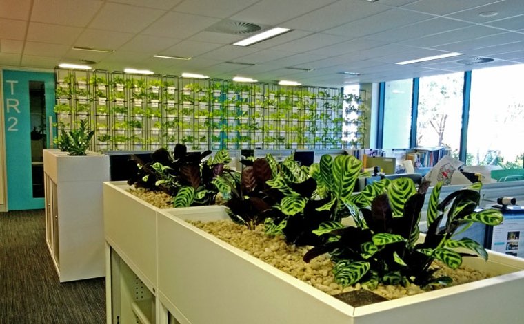 oficina con plantas