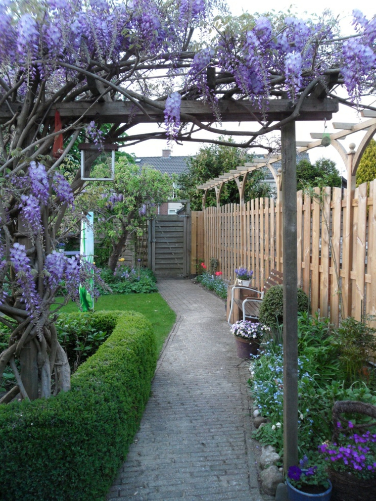 ideas para decorar el jardín con glicinia