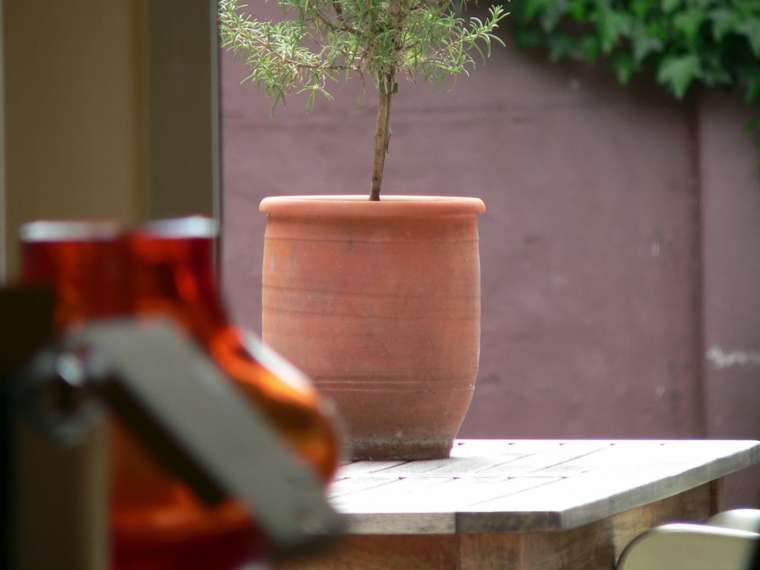 feng-shui-en-casa-opciones-originales