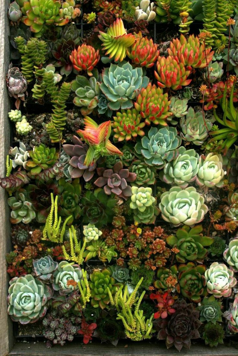 Jardin vertical - la tendencia en jardinería que apasiona a todos