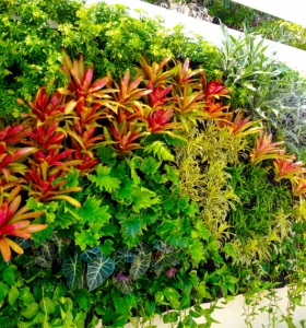 Jardin vertical - la tendencia en jardinería que apasiona a todos