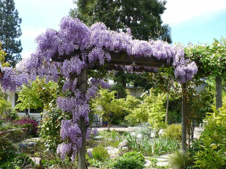 ideas para decorar un patio con wisterias