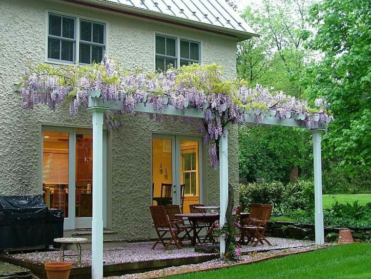 estupendas ideas para decorar un patio con wisterias