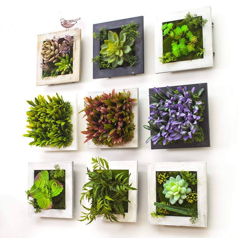 cómo cultivar un jardin vertical