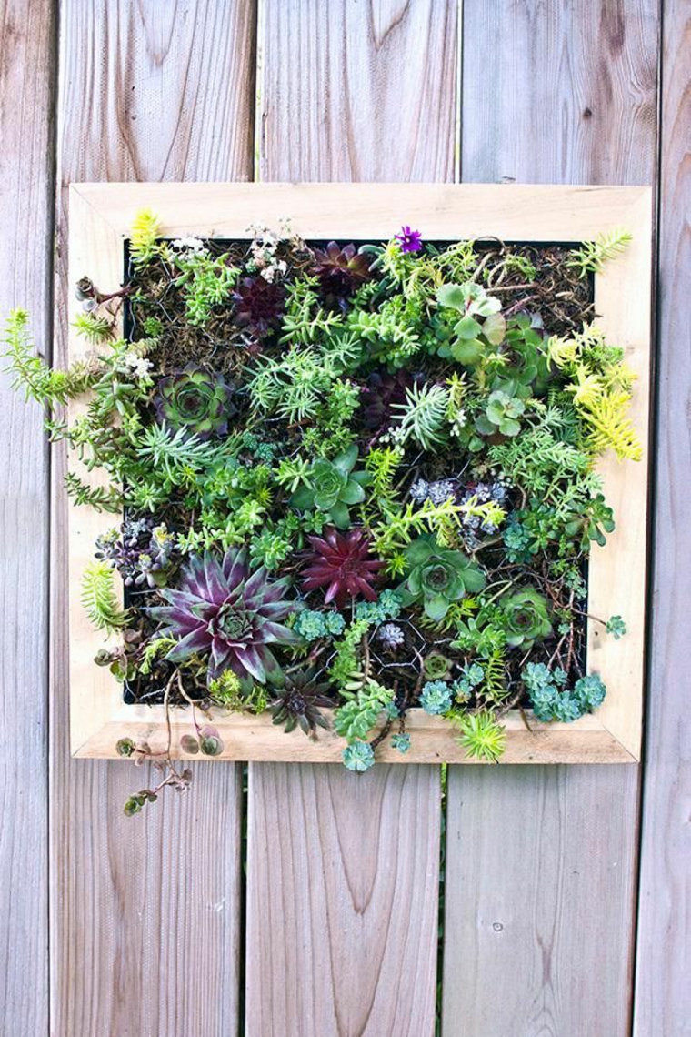 consejos para plantar un jardín vertical