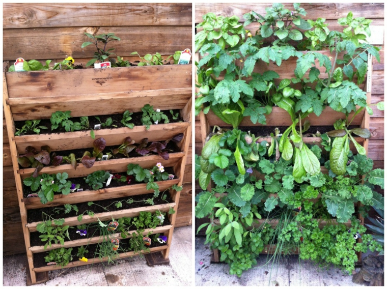 ideas para plantar un jardín vertical