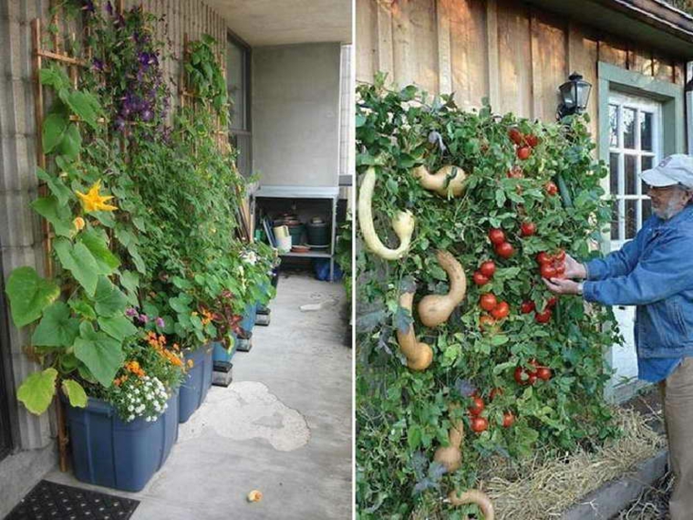 cómo plantar jardines verticales Diy