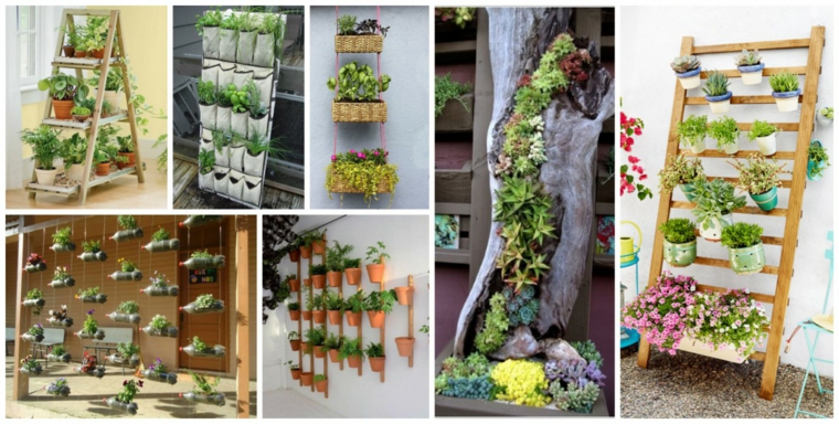 cómo plantar estupendos jardines verticales