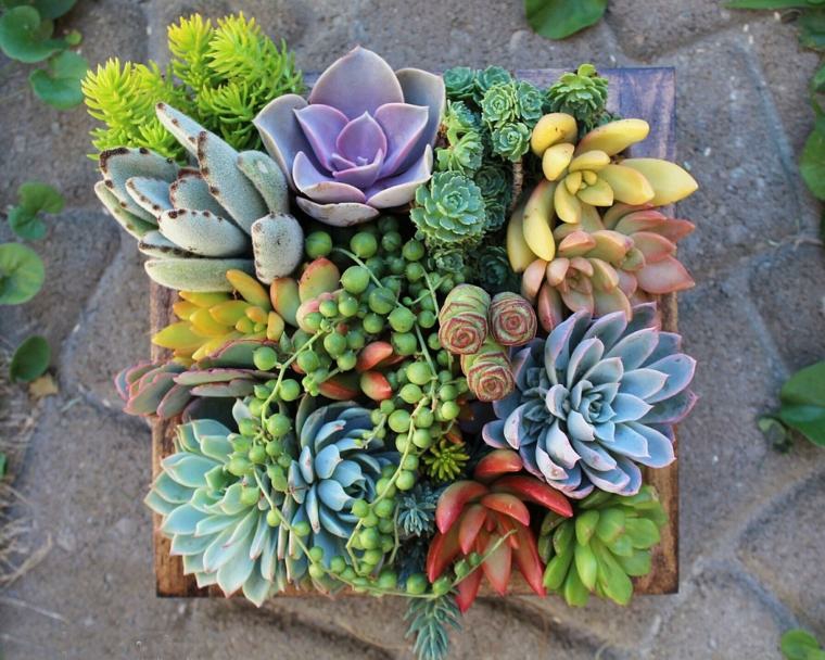 cómo cultivar estupendos jardines verticales
