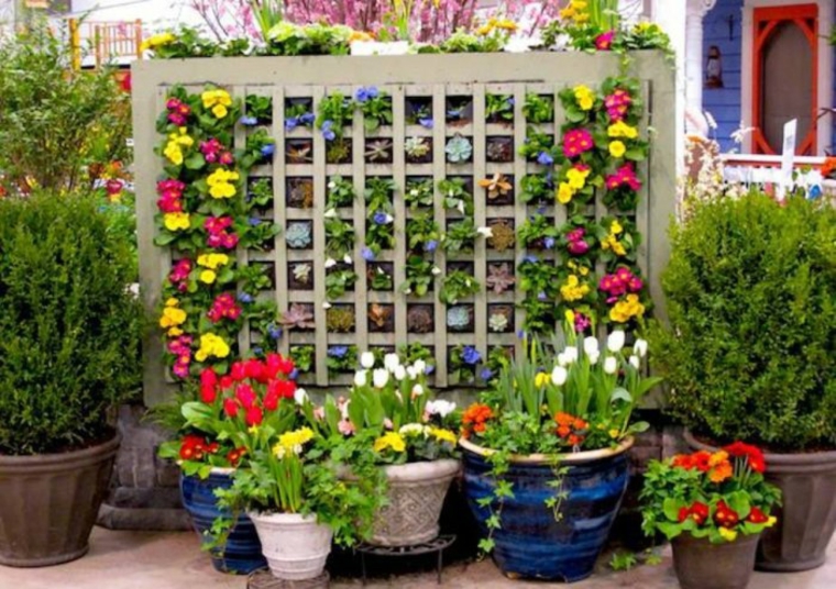 plantas en maceteros