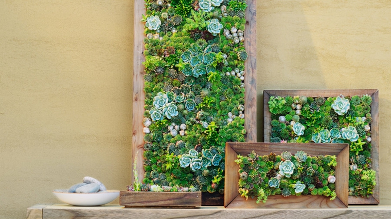 plantar jardines verticales Diy en marcos de madera