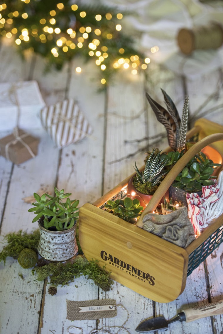 centros-de-mesa-de-navidad-ideas-luces-plantas-suculentas