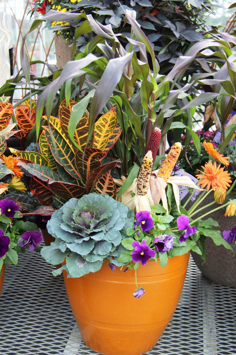 combinaciones plantas elegantes verdes