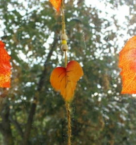 Hojas de otoño para creaciones coloridas encantadoras