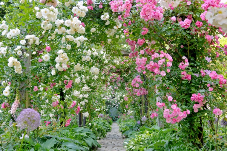 Bar y café del diseñador japonés Kengo Kuma construido con listones de