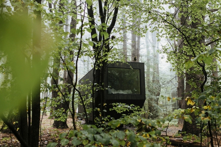 Cabaña de madera en el bosque - una escapada que merece la pena
