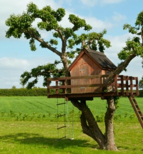 Casas en los árboles que todo niño amará - ideas para refugios geniales