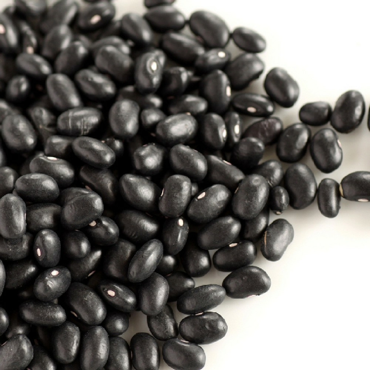 frijoles-negros
