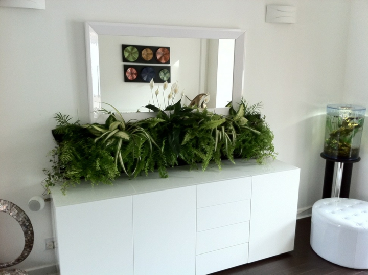 modelo-jardin-rectangular-alargado