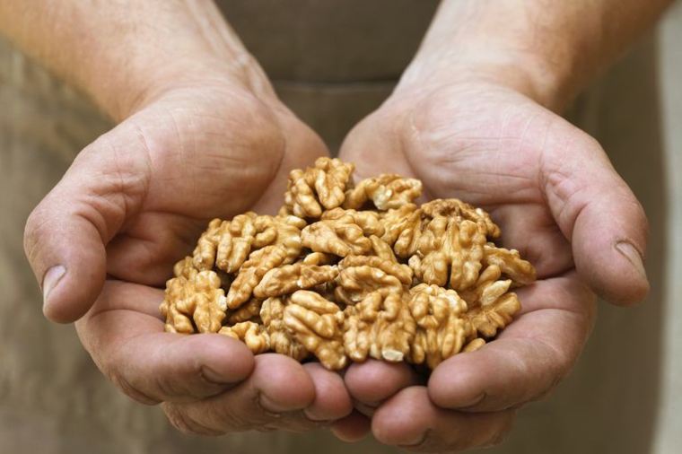 nueces-en-manos