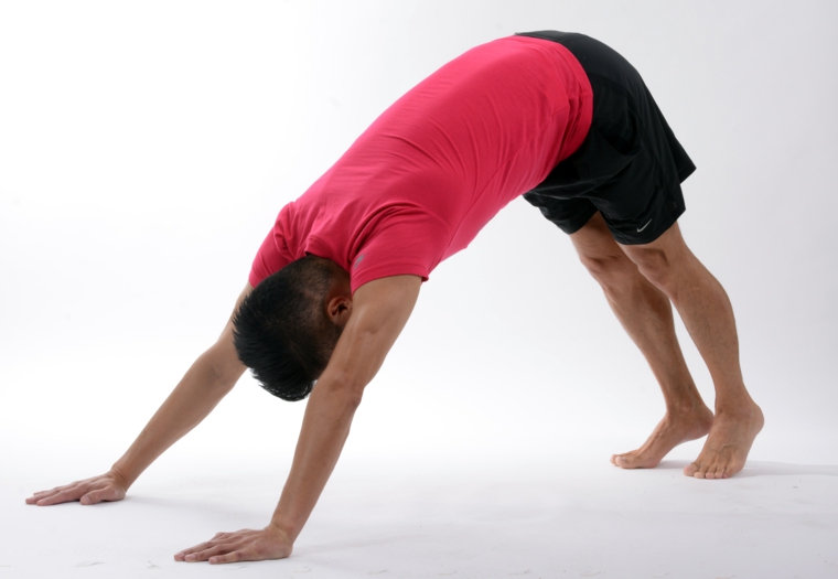 posturas de yoga-nombre-adho-mukha