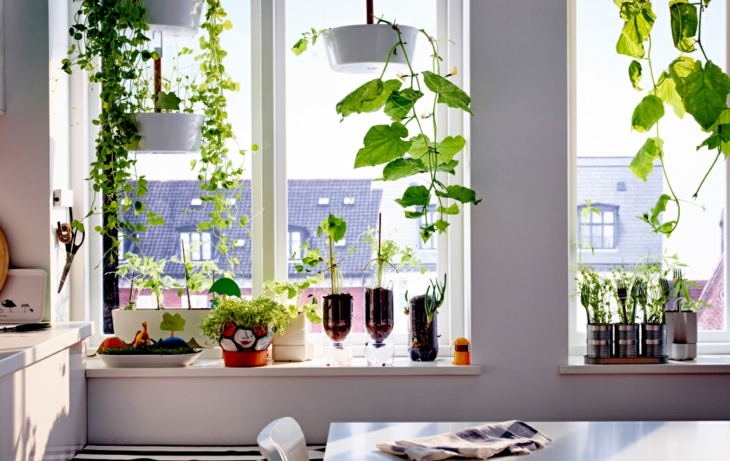 alfeizar plantas jardines interiores