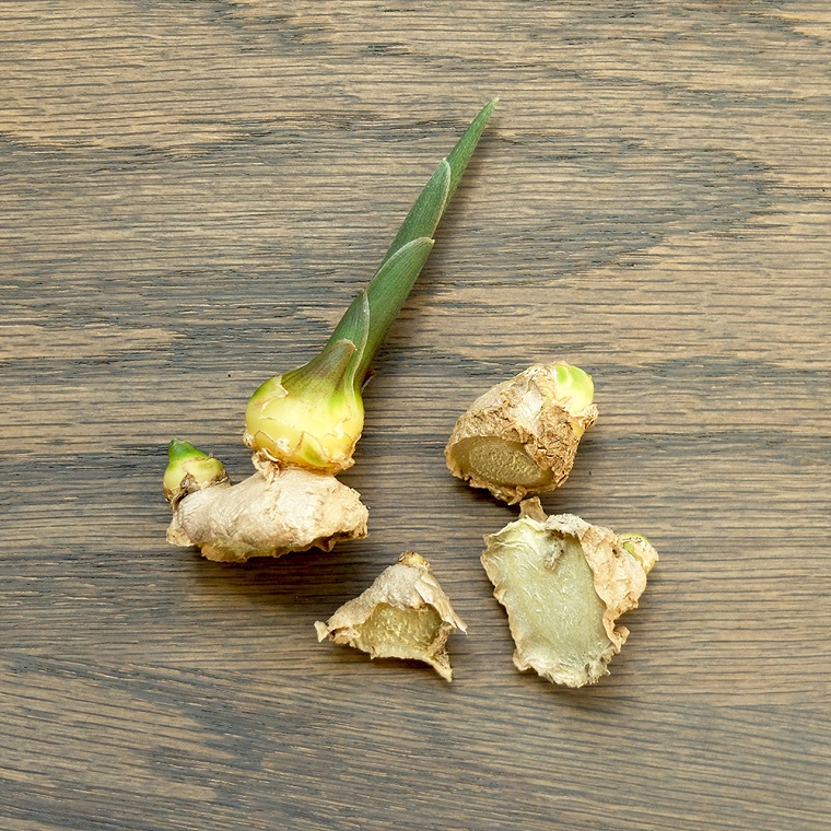 cultivo-interior-verduras-jenjibre-cultivar-casa