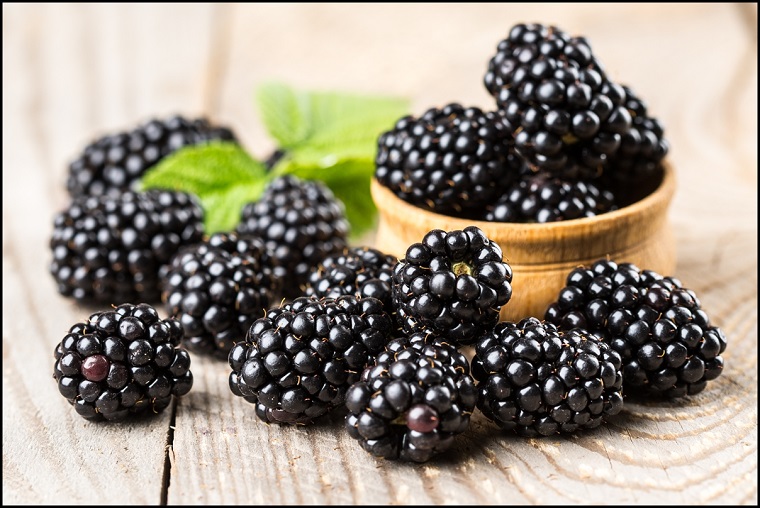 frutas-naturales-bosque-ideas 