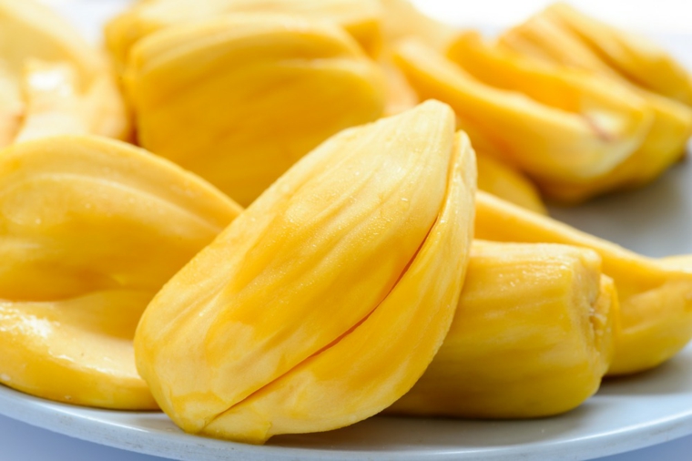 jackfruit bulbos