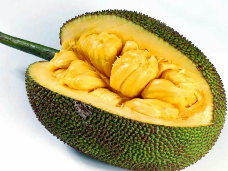 jackfruit-cuarto-cortado