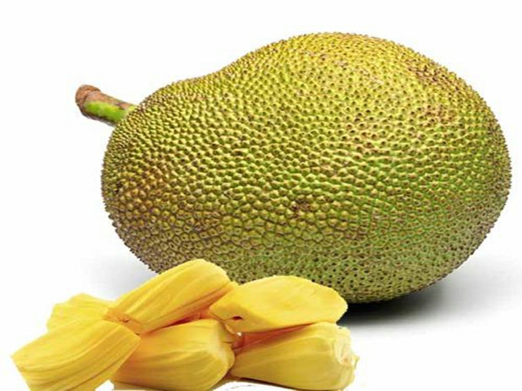 jackfruit-entero-y-bulbos
