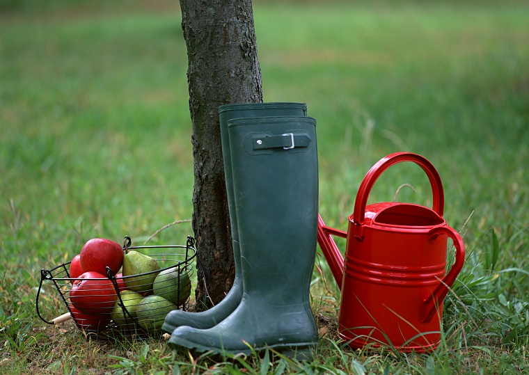 jardines-de-casas-consejo-limpieza