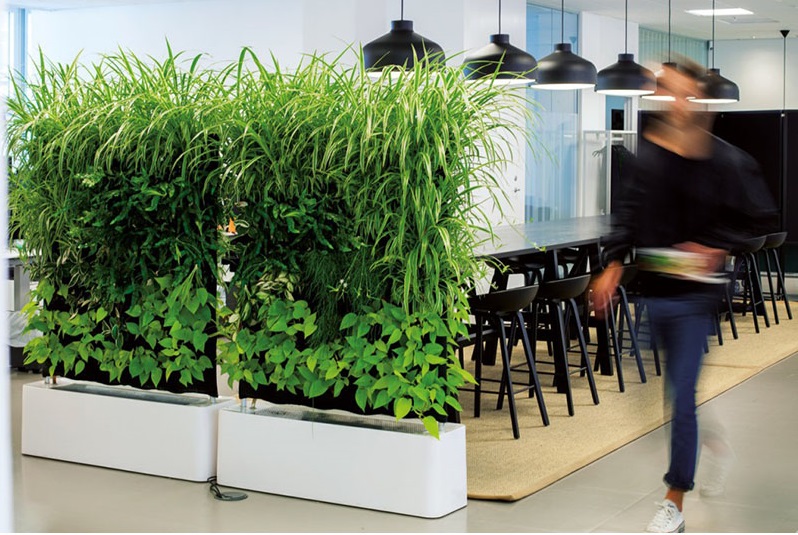 plantas-division-especiales-casas 