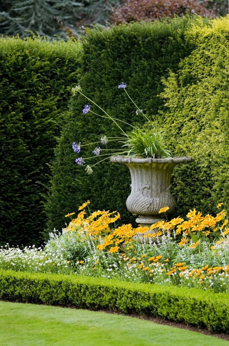 cuidar los setos de jardín