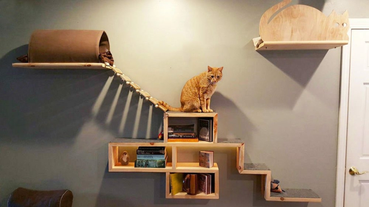 Muebles para gatos, dándoles su espacio personal