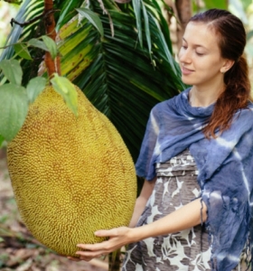 Alimentos saludables - descubre los superpoderes de la fruta "Jackfruit"