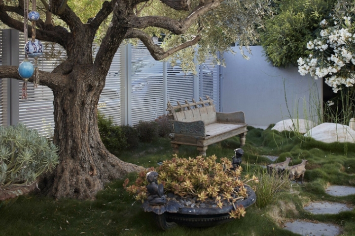 Ideas para jardines y consejo sobre la planificación