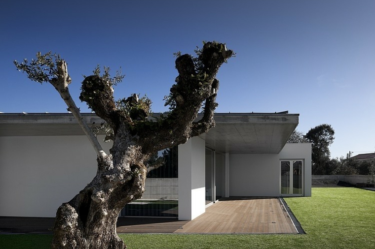 disenos-de-casas-de-un-piso-2-a2-arquitectos-exterior-jardin-estilo